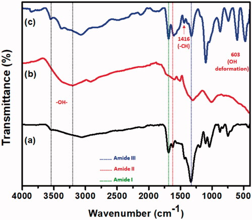 Figure 2. FTIR spectra of the (a) CS/HA, (b) Si-HPMC, and (c) CS/HA/Si-HPMC hydrogels.