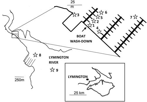 Figure 1. Map of study area at Lymington, Hampshire, United Kingdom, on the Lymington River feeding including sampling stations at the marina pontoon and at the mouth of the river as it enters the Solent.