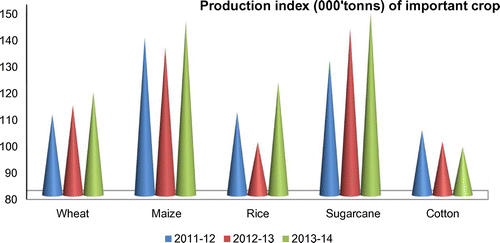 Figure 4. Production indices of major crops in Pakistan.