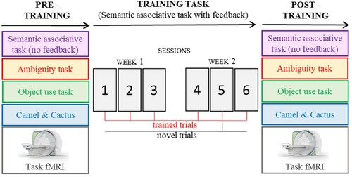 Figure 2. Schematic of study design. Trained trials were repeated in every training session, whereas novel trials were only presented once.