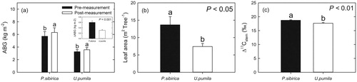 Figure 7. (a) Mean values of aboveground biomass (ABG, kg m−2) for Populus sibirica and Ulmus pumila. The inset presents the changes in ABG between pre-measurement and post-measurement. (b) Leaf area (m2 tree−1) of P. sibirica and U. pumila. (c) The values of stem carbon isotope discrimination (‰, Δ13C, mean ± SE) calculated from the carbon isotope compositions (δ13C) of P. sibirica and U. pumila. Different lowercase letters above the error bars indicate significant differences at p < 0.05.
