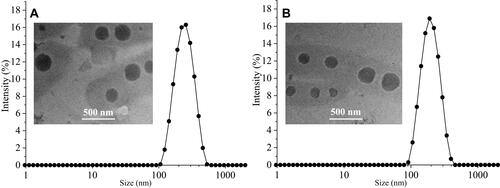 Figure 1 The particle size and TEM photos of PDCP (A) and PDSP (B) micelles.