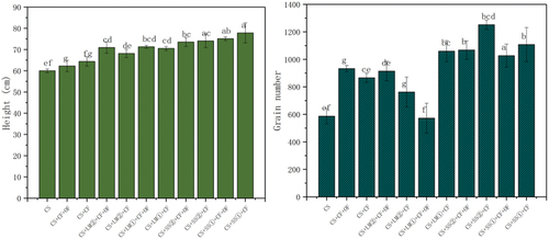 Figure 2. Plant height and average yield of rice grains per plant of rice. Different letters indicated that there were significant differences in the application of amendments (p < 0.05) (single factor analysis of variance (ANOVA)).