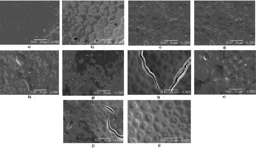 FIGURE 3 Scanning electron micrographs of fresh and dried tomato samples: convective drying at (A) 50°C and (B) 75°C; (C) microwave drying at 90W, (D) 160W, (E) 350W, and (F) 500W; and microwave-convective drying at (G) 90W-50°C, (H) 90W-75°C, (I) 160W-50°C, and (J) 160W-75°C.