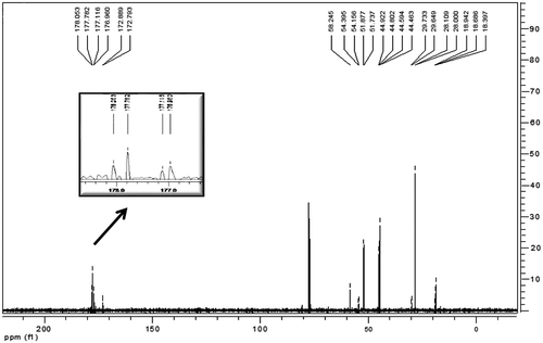 Figure 2. 13C NMR spectrum of ACTES-MMA co-polymer.