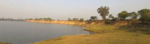 Photograph 3. Erosional plain developed by Betwa River in lower reaches.