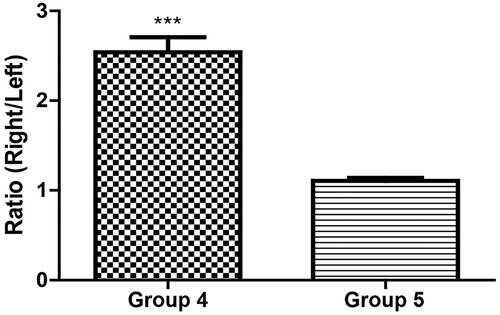 Figure 8. Comparison of TMZ concentration ratio of ipsilateral (right) to contralateral (left) hemispheres of rats in group 4 and 5 injected with 10 mg/kg; ***p < .0001, significant difference between groups 4 and 5 using a two-tailed unpaired t-test.