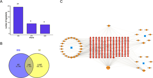 Figure 3 Active Ingredients of BYD and “Herb-Compound-Target” Network. (A) The number of ingredients in each herb. (B) Distribution Of BYD potential targets and UC targets. (C) Herb-Compound-Target network of BYD. Red rhombuses indicate targets. Blue squares represent three herbs: Baiyu, Diyu and Qingdai. Orange octagons show the major components of three herbs, respectively. The color and size of the nodes reflect the degree value. Grey lines indicate the interrelationships between compounds and targets.