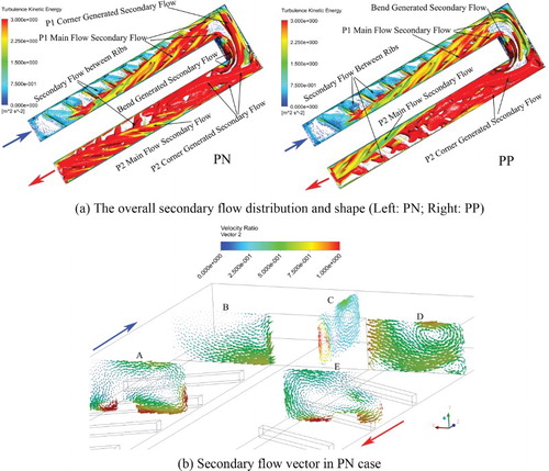 Figure 13. Secondary flow in PN and PP channel (Re = 30000). (a) The overall secondary flow distribution and shape (Left: PN; Right: PP); (b) Secondary flow vector in PN case.