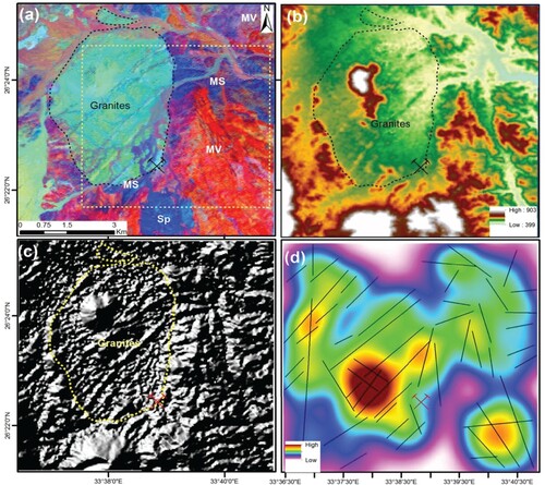 Figure 2. (a) Band ratios 7/5, 5/4 and 6/7 in R, G and B characterize the granites in cyan, metavolcanics (MV) in red, metasedimens (MS) and Serpentinites (Sp) in blue; (b) SRTM DEM (with 30 m spatial resolution) showing the boundary of the Abu–Gaharish granitic pluton (dashed line); (c) Hillshade relief map following the application of a sun azimuth of 315° and an altitude angle of 30o; (d) Lineament density map overlain with lineament/fault line traces (black lines).