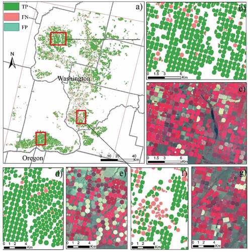 Figure 8. Comparison between predicted results and truth in the Washington validation site. (a) is the overall figure. (b,d,f) is the detailed map and its corresponding false composited satellite images (c,e,g). TP, FN, and FP represent truth positive, false negative, and false-positive samples, respectively.