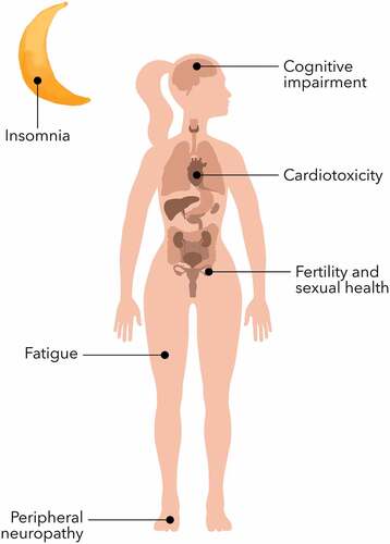 Figure 1. Long-term side effects of chemotherapy for early breast cancer.