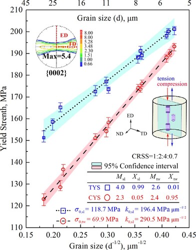 Figure 1. Tensile/compressive yield strengths of magnesium alloy rods with 0002 fiber texture as a function of grain size d−1/2 along the ED.