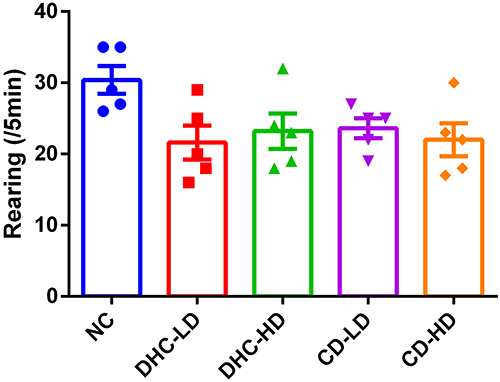 Figure 2 Effects of DHC and CD on rearing frequency during open field test in rat. Values are mean ± SEM, values are presented as mean ± SEM, differences were considered significant at p<0.05.