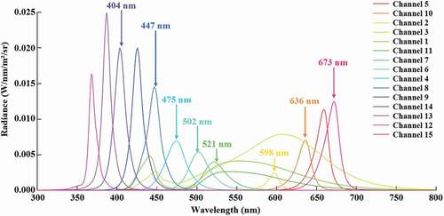 Fig. 2. Spectral radiance of the 15 channels of the Thouslite LEDcube as measured in the match field mirror from the observer position. The channels selected as matching primaries are also indicated.