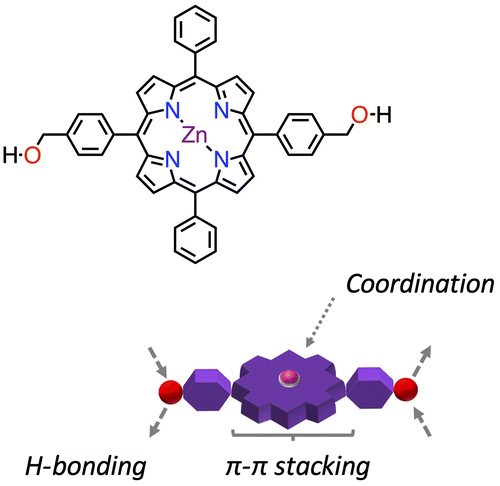 Figure 1. (Colour online) Chemical structure of porphyrin 1∙Zn along with its cartoon representation highlighting the relevant functional units.