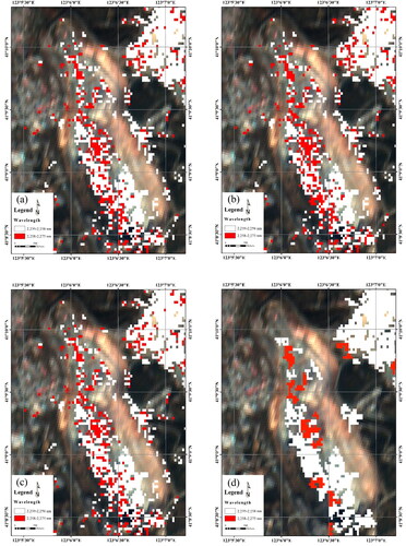 Figure 11. Spatial distribution map of two kinds of chlorites. (a) Wavelength interpolated by quadratic polynomial method; (b) wavelength interpolated by cubic spline method; (c) wavelength interpolated by quartic polynomial wavelength; (d) mineral discrimination by reduction of ‘pepper and salt’ effect of (a).