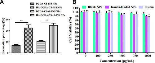 Figure 6 Mucus permeation and cytotoxicity studies. (A) Permeantion percentage of insulin NPs in artificial mucus for 2 h. **P < 0.01, N = 3. (B) In vitro cell viability of Caco-2 cells against blank NPs (HA-DCDA-CS-r8 NPs), insulin-loaded NPs (HA-DCDA-CS-r8-INS NPs), and insulin with different concentration by MTT. *P < 0.05 vs the concentration of 0 μg/mL. N = 5.
