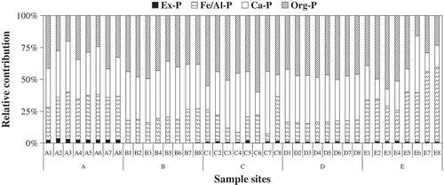 Figure 3. The relative contribution of different P forms to TP in the studied core sediments.