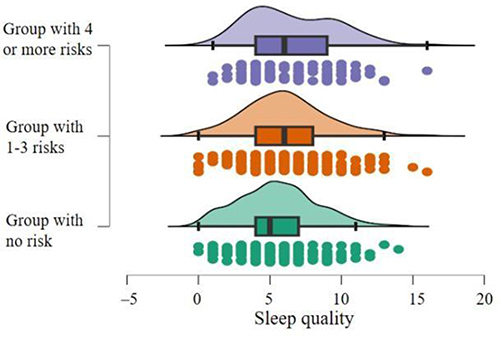 Figure 2 Comparison of sleep quality across different risk groups.