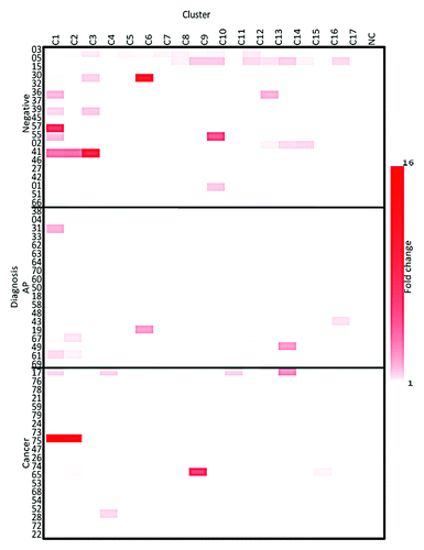 Figure 2. IL-13-fold change heatmap. The fold change of the supernatant levels of IL-13 from the three groups compared with the NC, as evaluated on Day 2, NC is a negative control. The clusters are listed across the top and the three cohorts are listed on the y axis.