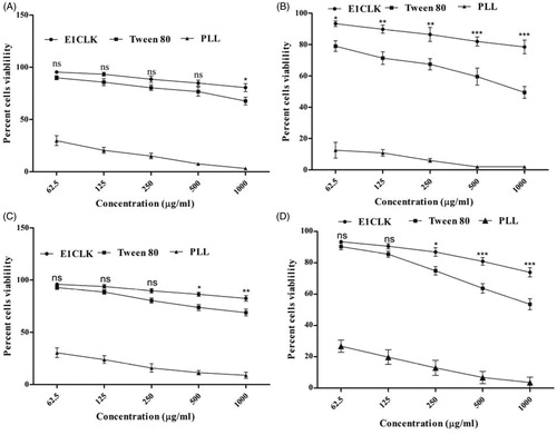 Figure 7. Cell cytotoxicity study of synthesized surfactant (E1CLK), where (A) and (B) show percent cell viability against NIH/3T3 cell line after 24 and 48 h, respectively, while (C) and (D) show percent cell viability against HeLa cell line after 24 and 48 h, respectively. (n = 3, mean ± SEM). Poly-L-lysine and Tween 80 are used as reference standard and positive control, respectively.