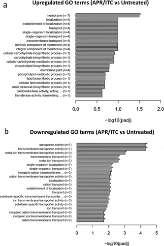 Figure 5. Enrichment analysis of all GO (gene ontology) terms of DEGs identified from the aprepitant/itraconazole combination (APR/ITC) versus the untreated control. GO analysis of DEGs was implemented by the ClusterProfiler R package and a P-value ≤ 0.05 was used as the cutoff parameter. Panel (a) displays up-regulated GO terms and panel (b) displays down-regulated DEGs