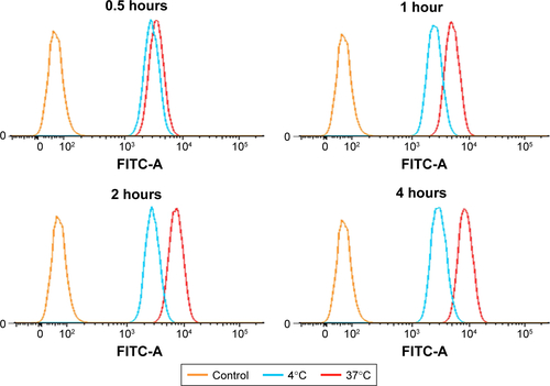 Figure S2 Flow-cytometry profile of MDA-MB231 cell line incubated with C6-iRGD NPs at different incubation time points (0.5, 1, 2, and 4 hours) at 4°C and 37°C.Abbreviation: NPs, nanoparticles.
