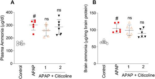 Figure 1 Evaluation of plasma (A) and brain tissue (B) ammonia levels in mice receiving acetaminophen (APAP) and then citicoline. Citicoline-treated group A (1), Citicoline-treated group B (2).