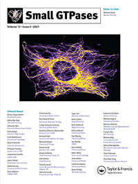 Cover image for Small GTPases, Volume 12, Issue 3, 2021