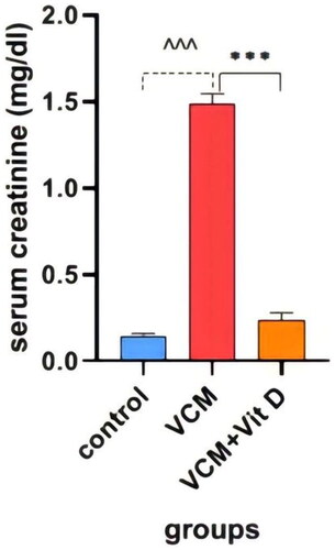 Figure 3. Effect of vancomycin and vitamin D3 on kidney function as creatinine levels in plasma. The data are expressed in mean ± SEM and n = 7 in each group. Normal diet (control); vancomycin exposed group without treatment (VCM); vancomycin exposed group treated with vitamin D3 (VCM + Vit D) groups. ^^^p < 0.0001 compared with the corresponding value in the control group. ***p < 0.0001 compared with the corresponding value in the VCM group.