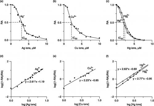 Figure 2 Equilibrium residual activity (RA) of urease as a function of total metal ion concentrations in the incubation mixtures for Ag+ (a), Cu2 + (b), and Hg ions (c); Logarithmic plots of ((1-RA)/RA) as a function of total metal ion concentrations in the incubation mixtures for Ag+ (d), Cu2 + (e), and Hg ions (f).