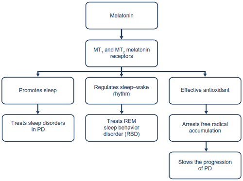 Figure 1 Melatonin’s neuroprotective and sleep regulating role in PD.