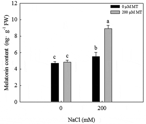 Figure 2. Melatonin concentration of L. bicolor seeds after two days of treatment with different concentrations of melatonin (MT) (0 µM, 200 µM) under 0 and 200 mM NaCl conditions. Values are mean ± standard deviation of three biological replicates. Bars labeled with different letters are significantly different at P < .05 according to Duncan’s multiple range tests.