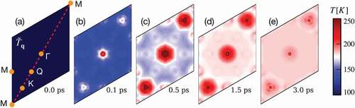 Figure 10. (a) Hexagonal Brillouin zone and high-symmetry points (dots) of monolayer MoS 2. The color coding reflects the effective vibrational temperature of the lattice for an initial (t=0) state of thermal equilibrium at T=100 K (see color bar). (b-e) Enhancement of the phonon temperature in the vicinity of the Γ and K high-symmetry points due to momentum-selective phonon emission throughout the relaxation of a photo-excited electronic distribution. Reproduced from Ref [Citation223].