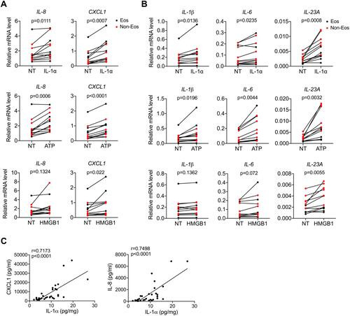 Figure 3 DAMPs facilitate inflammation in CRSwNP. (A and B) qPCR analysis of inflammatory cytokines and chemokines mRNAs (normalized to beta-actin) in primary nasal polyp cells before and after IL-1α (50 ng/mL), ATP (1 mM) or HMGB1 (1 μg/mL) stimulation for 8 h (n=12). (C) Spearman correlations between IL-1α and IL-8, CXCL1 protein levels in control tissues and nasal polyps (n=33). The data were analyzed by paired Student’s t-test (A and B).