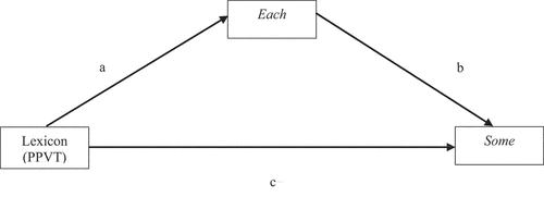 Figure 6. Mediation analysis of interpretations of each in collective contexts between the lexicon and implicature interpretations of some in distributive contexts.