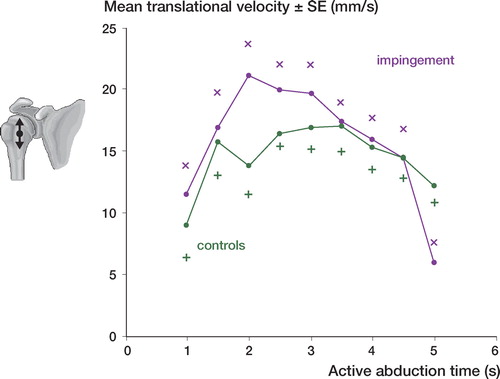 Figure 10. Translation velocity during active abduction. Patients with impingement versus the control group. Mean SE (p = 0.4).