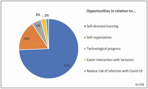 Figure 11. Pie chart of opportunities (by category) as perceived, if courses would only be offered online (Percent, N = 258)