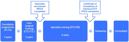 Training pathway for trauma and orthopaedic surgery in the UK.