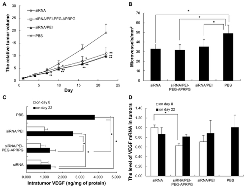 Figure 9 Antiangiogenic effect of small interfering RNAs in MCF-7 tumor-bearing mice. The small interfering RNA concentration was 10 μM and the small interfering RNA complexes were prepared at a N/P ratio of 10 in phosphate-buffered saline. (A) Antitumor effect. The results indicate the mean ± standard deviation (n = 5–9). *P < 0.05 and **P < 0.01 for small interfering RNA treatment groups compared with phosphate-buffered saline group, respectively. (B) Microvessel density. Each column represents the mean ± standard deviation (n = 3–4). *P < 0.05. (C) and (D) Intratumor vascular endothelial growth factor production and vascular endothelial growth factor mRNA. The results represent the mean ± standard error of the mean (on day 8, n = 3 per group; on day 22, n = 5 per group, and n = 10 in the phosphate-buffered saline group). On day 8 small interfering RNA was used as the control and on day 22 phosphate-buffered saline was used as the control. *P < 0.05.