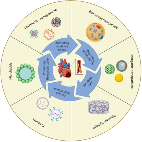 Figure 2. Common nanocarriers for myocardial ischemia-reperfusion therapy.