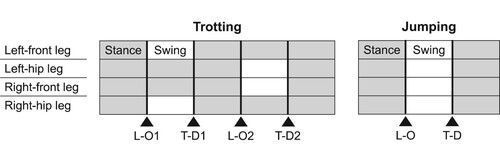 Figure 2. Contact patterns of trotting and jumping motions. Gray and white cells indicate the intervals where the leg is standing and swinging, respectively. Thick lines illustrate the switches of the active subsystems. Black triangles indicate the types of switches (lift-off: L-O, touch-down: T-D).