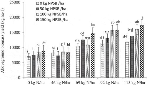 Figure 6. Interaction effect of blended NPSB and N fertilizers on aboveground biomass yield (kg ha−1) of durum wheat combined in 2017–2019. g–i = ghi; e–g = efg, etc.