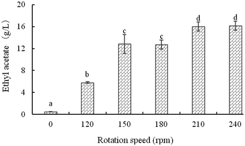 Figure 8. Effect of rotation speed on the concentration of ethyl acetate produced by yeast strain YF1503.