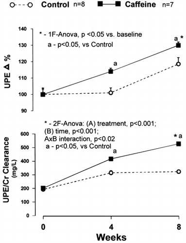 Figure 4. Urinary protein excretion in adult, obese ZSF1 rats treated with caffeine for 8 weeks.