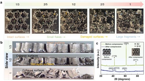 Figure 11. The macro images in (a) the top view and (b) the side view of the LPBF-processed double-asymmetric honeycombs after compression; (c) XRD patterns of double-asymmetric honeycomb with α of 1/3 under before compression and after compression.