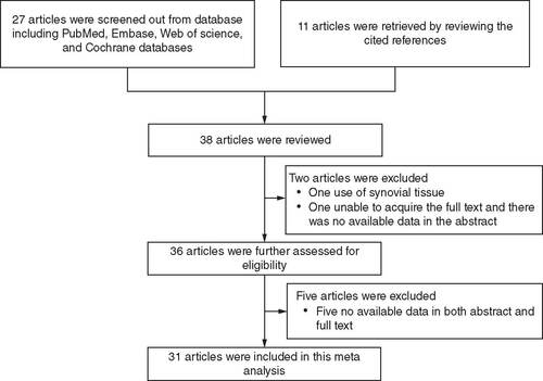 Figure 1. Study flow.Via detailed search and screening, 38 articles were initially reviewed; after careful sorting, a total of 31 articles were included in this meta-analysis.