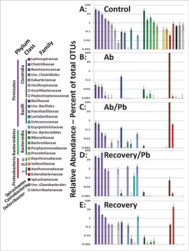 Figure 2. Comparison of cecal/intestinal microbial community structure by rank ordering relative abundance of bacterial families following antibiotic and probiotic treatment. More than 2 million OTU tags were retrieved from sequenced DNA and relative abundance at the taxonomic family level was calculated. Family level abundance was pooled for each experimental group. Any bacterial family above 1% total in any single animal lead to inclusion in figure for all groups. Control mice did not receive antibiotics. Ab mice were on antibiotics for all 4 weeks. Ab/Pb mice were on antibiotics for 4 weeks and the last 2 weeks were supplemented with gavaged probiotics. Recovery mice were switched to regular water with or without probiotic treatment.