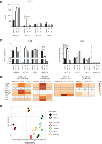 Figure 5. IL-17A and IL-17F distinctly modulates the expression of target and tumor progression genes in different tumor types in vitro.